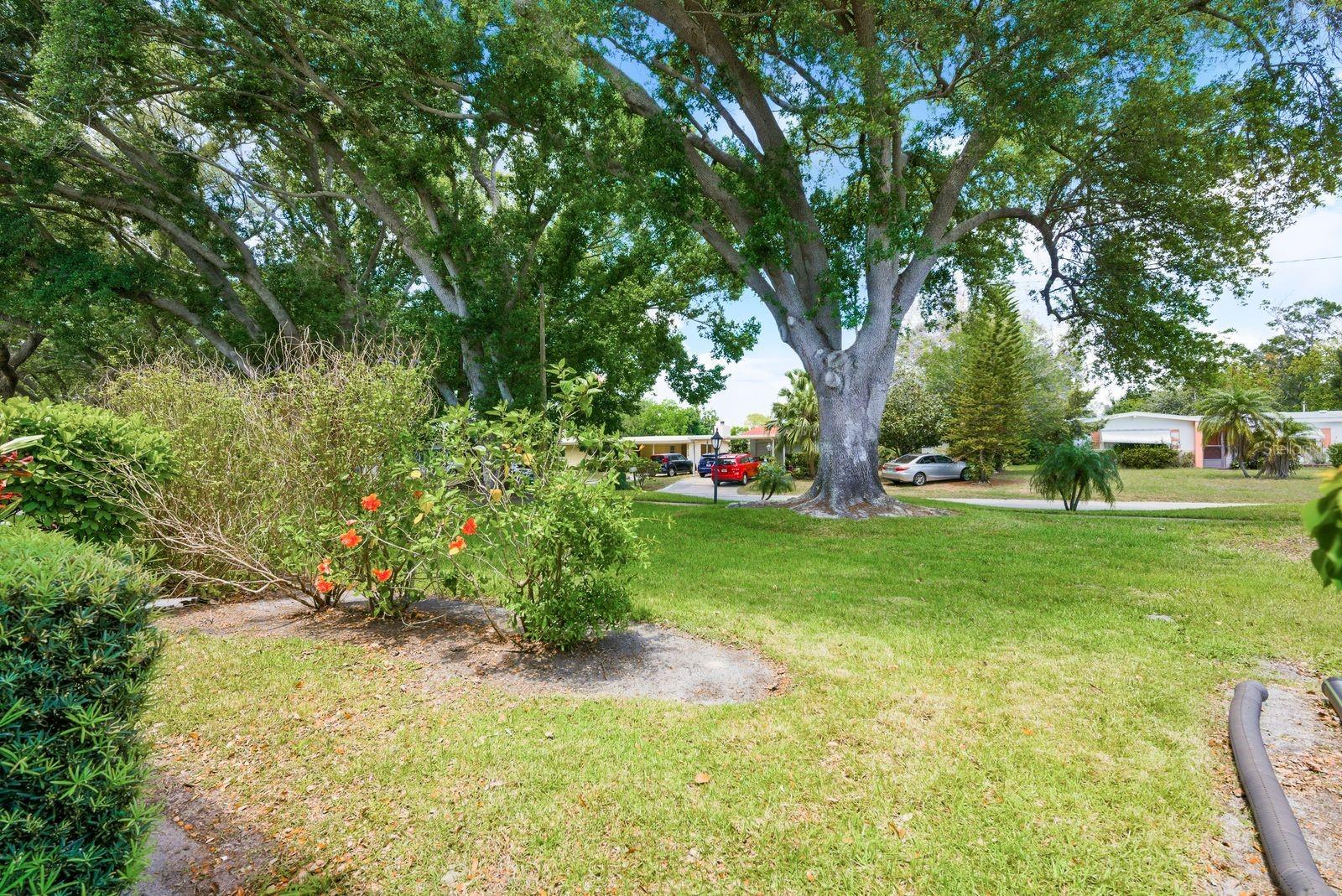 PENTHOUSE GROVES - Residential