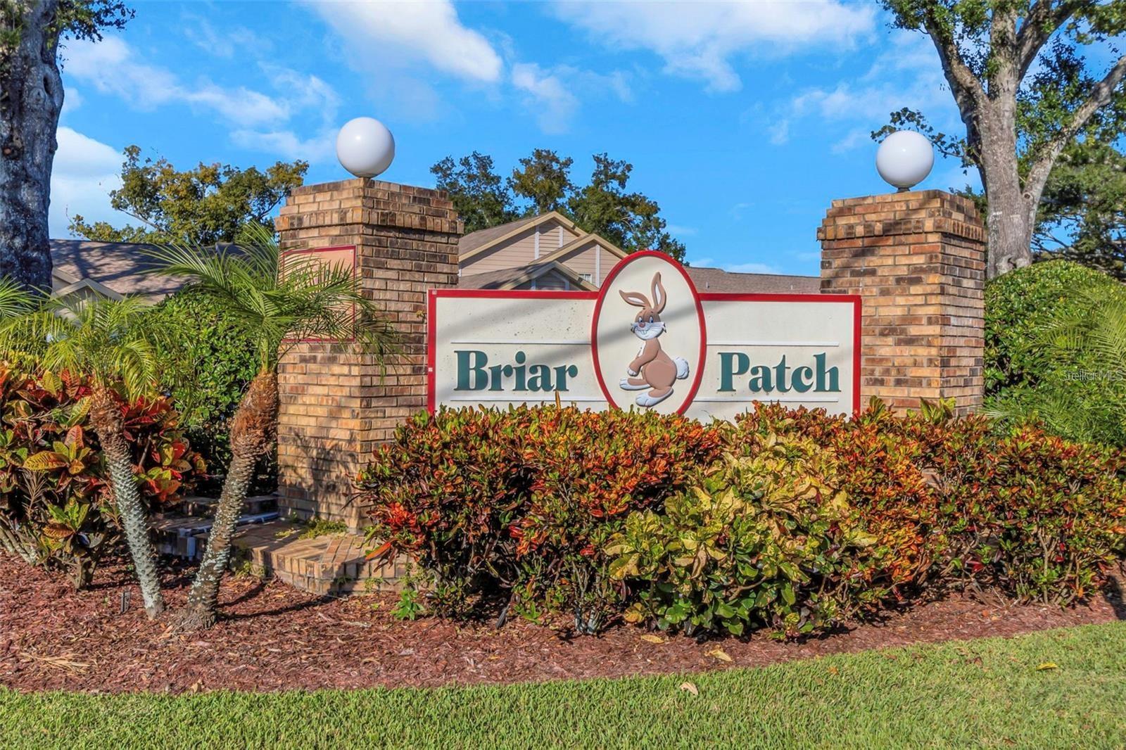 BRIAR PATCH - Residential