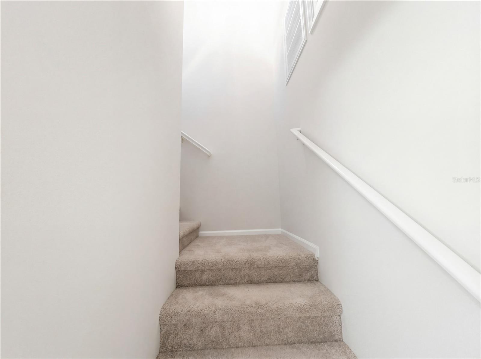 BRIAR PATCH - Residential