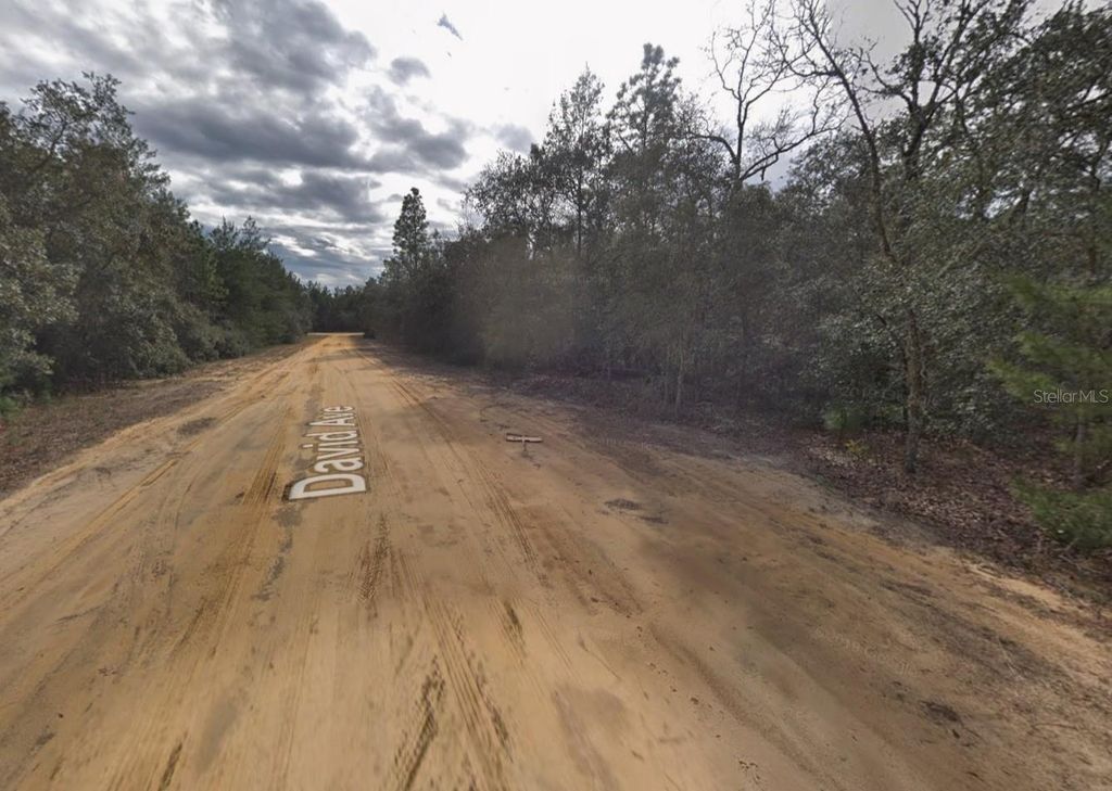 Photo of David Avenue, Interlachen, FL 32148 (MLS # C7526193)