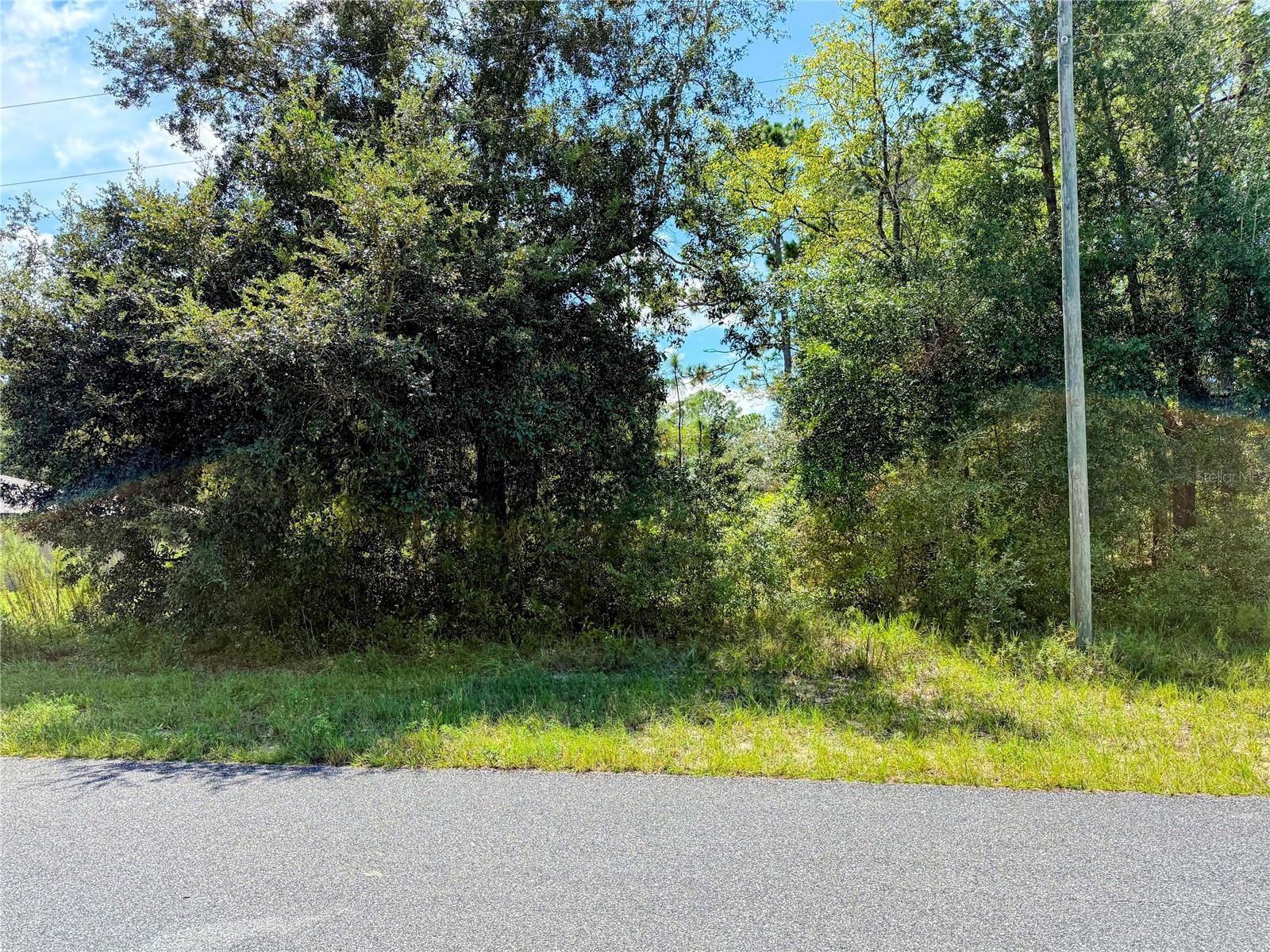 Build Your Florida Dream in Growing Citrus County Florida
Set within the community of Citrus Springs, this spacious homesite offers an ideal foundation for your future home. Located in one of Florida’s most affordable and rapidly growing regions, this parcel invites you to create a custom residence that meets your needs and offers affordability. The lot is level and mostly cleared, significantly reducing the cost and complexity of site preparation. With access to public water utility and nearby electrical infrastructure already in place, you can begin building sooner and with fewer upfront expenses.
Citrus Springs is known for its welcoming community, scenic surroundings, and easy access to both the Gulf of Mexico and the vibrant city of Ocala. Whether you are drawn to coastal adventures or urban conveniences, this location offers the best of both worlds.
Typical homes in the area range from 1400 to 2300 square feet and feature 3 to 4 bedrooms, 2 bathrooms, and open-concept layouts designed for modern living. Popular styles include Florida ranch and contemporary block construction, often with stucco exteriors, cathedral ceilings, and split-bedroom designs.
With no HOA restrictions and essential utilities available, you have the freedom to personalize your space—whether through minimalist landscaping, covered patios, or energy-efficient upgrades. The combination of a ready-to-build lot and existing infrastructure makes this property a smart and cost-effective choice for your Florida dream home. Please ask for more details and how to make it yours.