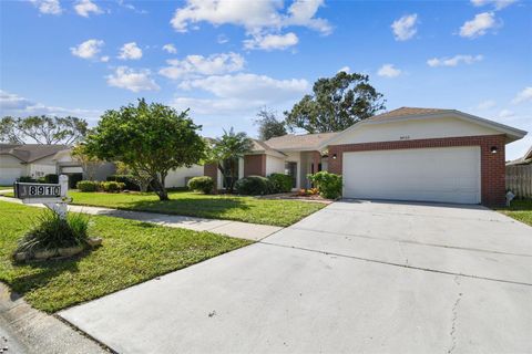 A home in TAMPA