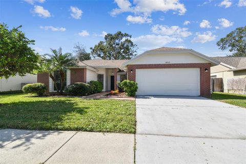 A home in TAMPA