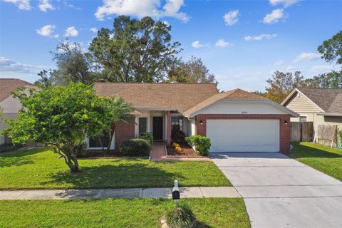 A home in TAMPA