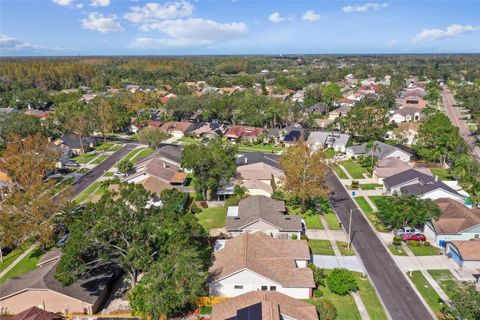 A home in TAMPA