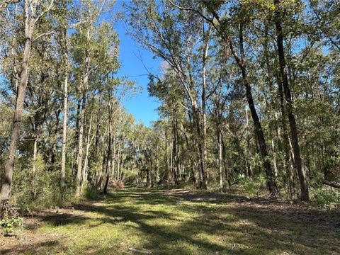 Photo of 55 W Hwy 318, Reddick, FL 32686 (MLS # OM690031)