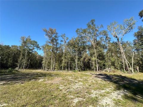 Tiny photo for 55 W Hwy 318, Reddick, FL 32686 (MLS # OM690031)