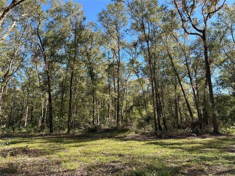 Tiny photo for 55 W Hwy 318, Reddick, FL 32686 (MLS # OM690031)