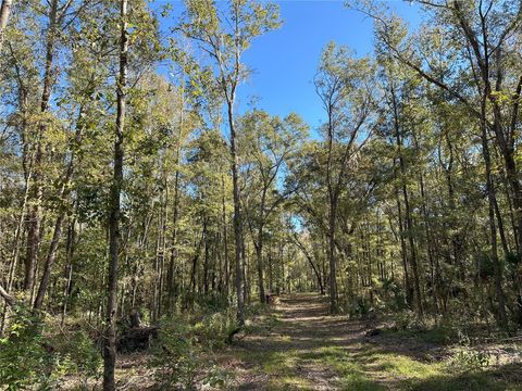 Tiny photo for 55 W Hwy 318, Reddick, FL 32686 (MLS # OM690031)