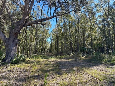 Tiny photo for 55 W Hwy 318, Reddick, FL 32686 (MLS # OM690031)