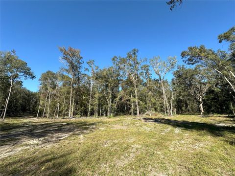 Tiny photo for 55 W Hwy 318, Reddick, FL 32686 (MLS # OM690031)