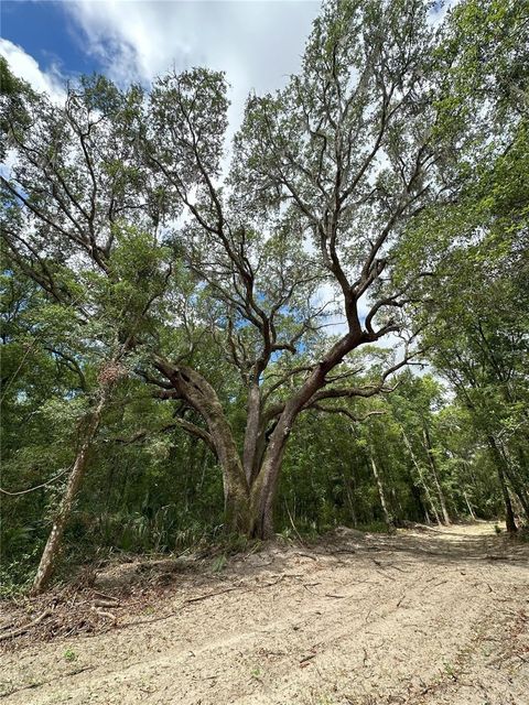 Tiny photo for 55 W Hwy 318, Reddick, FL 32686 (MLS # OM690031)