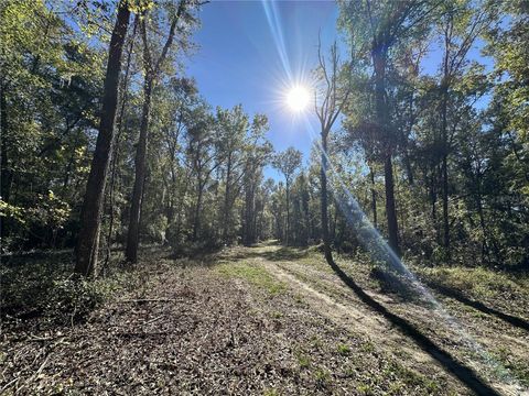 Tiny photo for 55 W Hwy 318, Reddick, FL 32686 (MLS # OM690031)