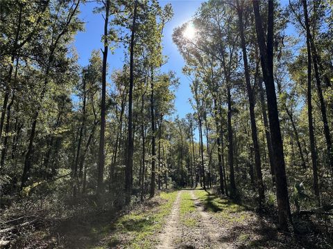 Tiny photo for 55 W Hwy 318, Reddick, FL 32686 (MLS # OM690031)