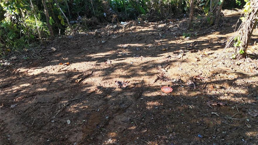 Discover the perfect opportunity to own land in a peaceful and private setting with beautiful ocean views. Whether you’re ready to build the home of your dreams, develop a vacation getaway, create a short-term rental investment, or utilize the land for agricultural purposes and income production, this property offers incredible versatility.

Located in the tranquil mountains of the Sierra de Luquillo and bordering the majestic El Yunque National Forest, you’ll enjoy cool mountain breezes, lush tropical surroundings, and breathtaking natural scenery year-round. The area is known for its serenity, natural beauty, and strong appeal to both local and international buyers seeking a lifestyle connected to nature.

This is more than just land — it’s an opportunity to invest in a growing area surrounded by protected rainforest, ocean views, and endless potential.

Don’t miss the chance to secure your piece of paradise in one of Puerto Rico’s most unique and desirable natural settings.