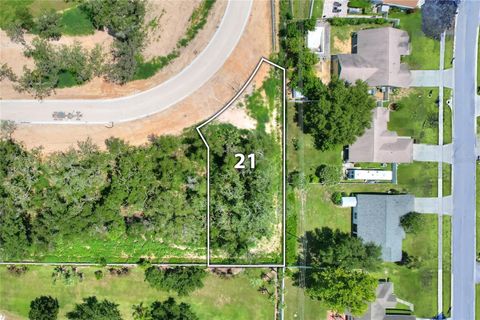 Tiny photo for 154 Tranquil Mirror Lake Court #Lot 21, Clermont, FL 34711 (MLS # O6391810)