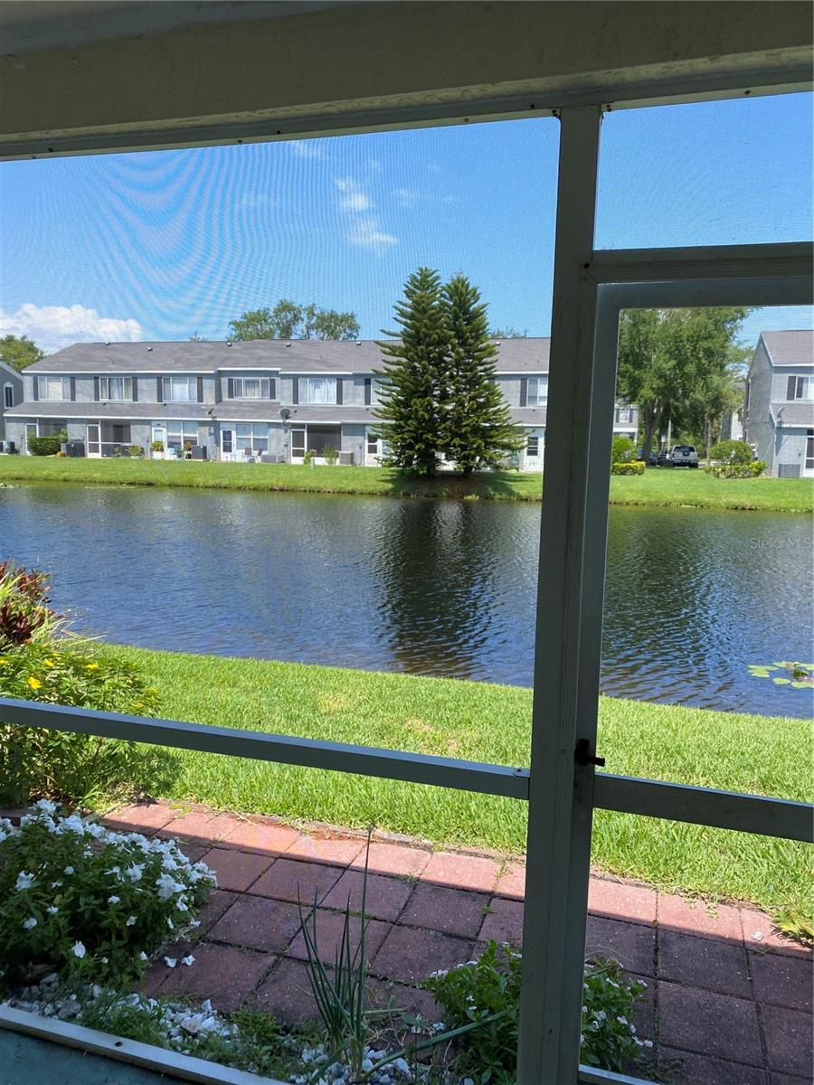 244 COUNTRYSIDE KEY BOULEVARD
