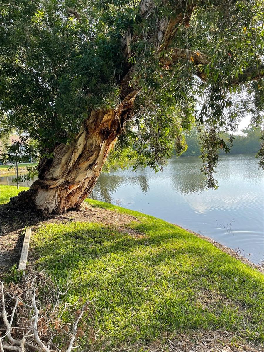 782 VILLAGE LAKE TERRACE N 102