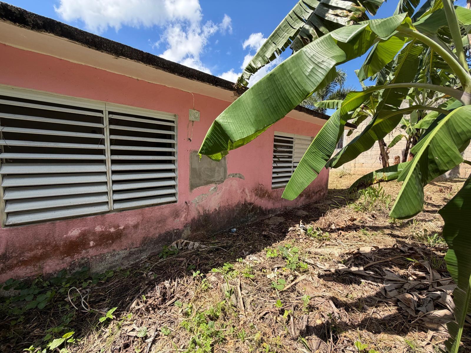 BO CACAO ALTO, PATILLAS - Residential