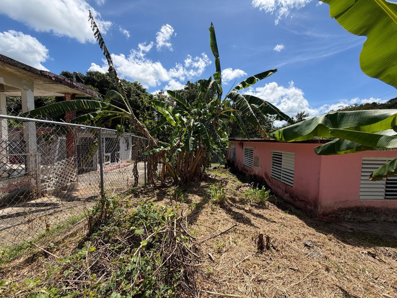 BO CACAO ALTO, PATILLAS - Residential