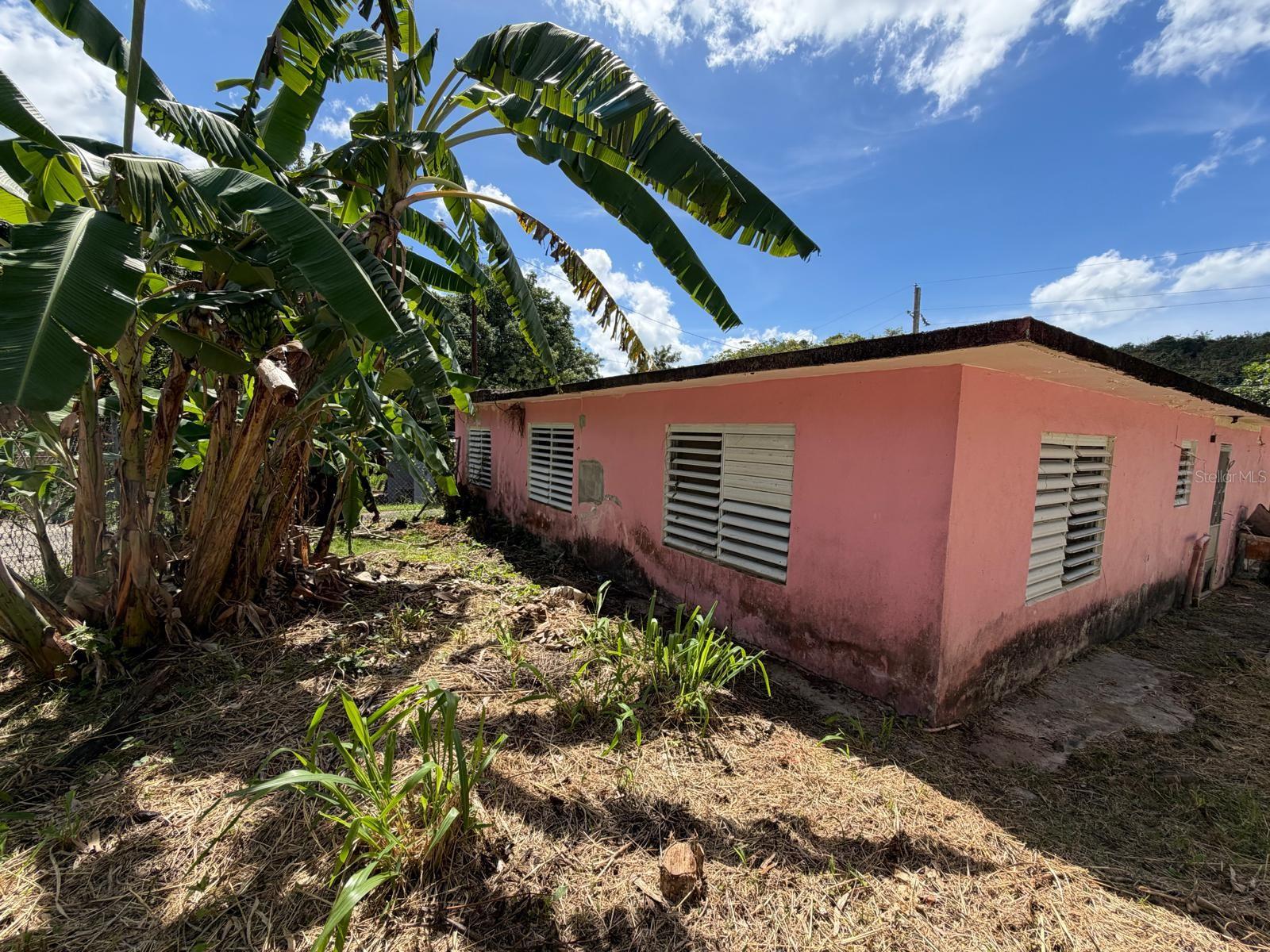 BO CACAO ALTO, PATILLAS - Residential