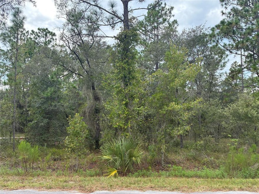 Don't miss this opportunity to own a 0.23-acre vacant lot in a growing area—perfect for building your dream home or investment property. Located in a peaceful neighborhood with convenient access to local amenities, this property offers a clean slate with endless potential.Whether you're an investor, builder, or future homeowner, this is a great chance to secure land in a desirable location.
