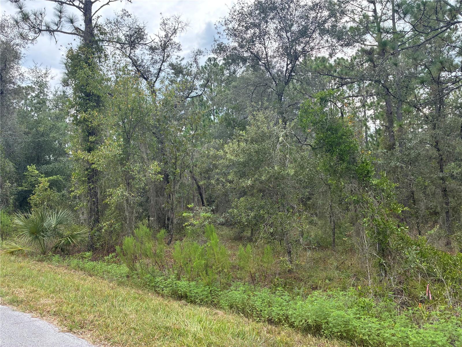 RAINBOW LAKES ESTATE - Land