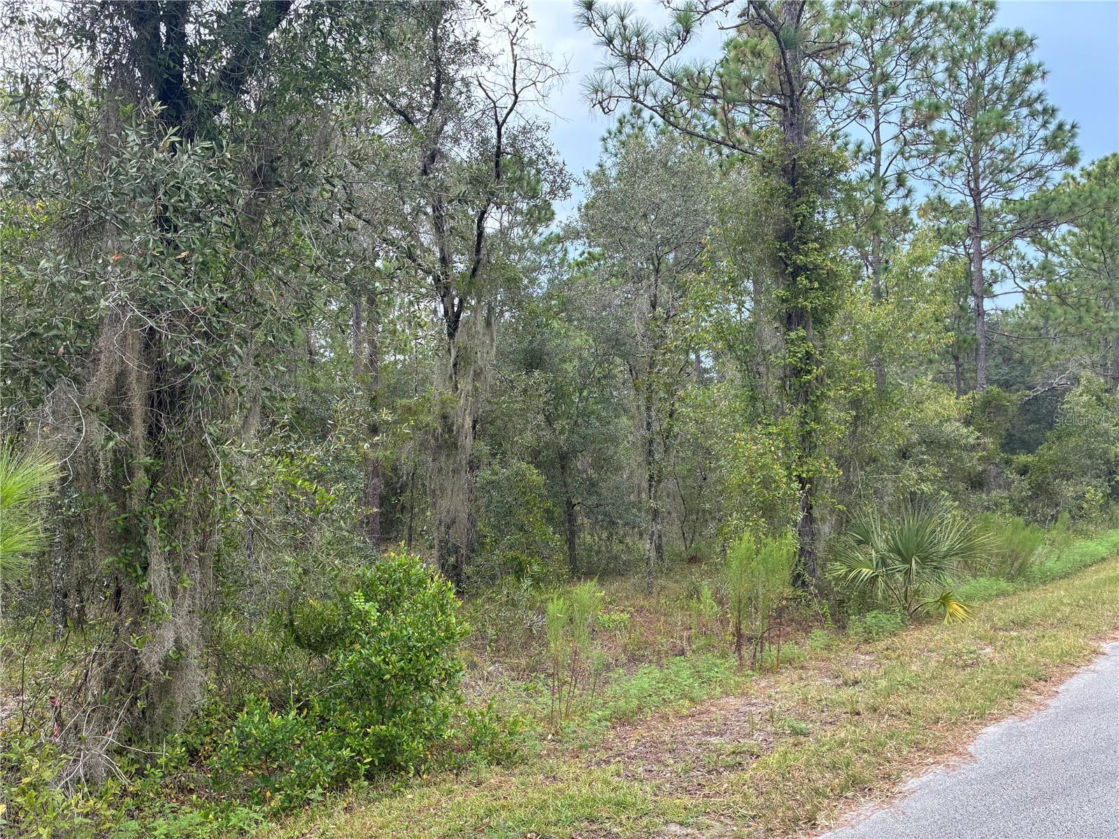 RAINBOW LAKES ESTATE - Land