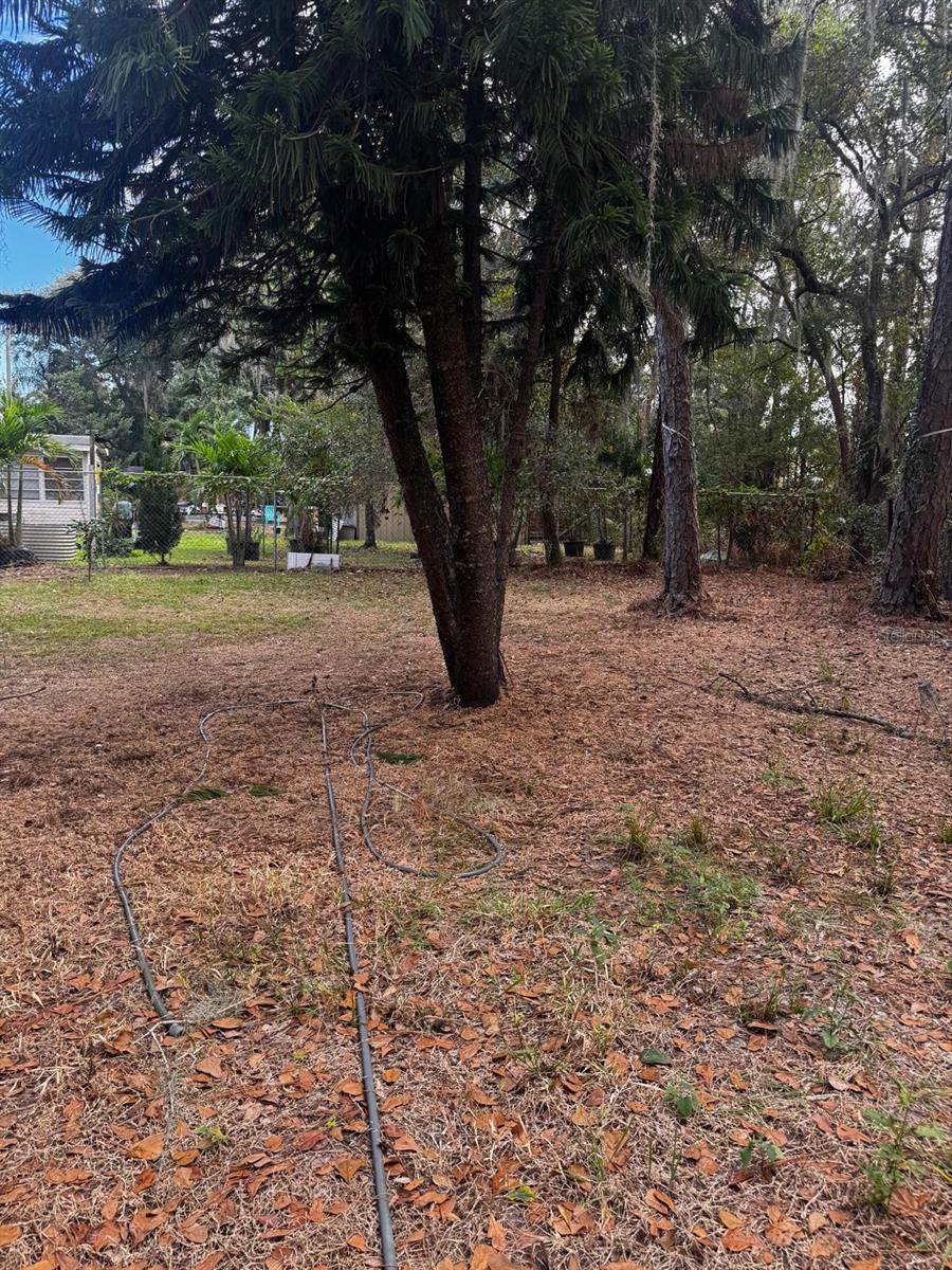 WAHNETA FARMS - Residential