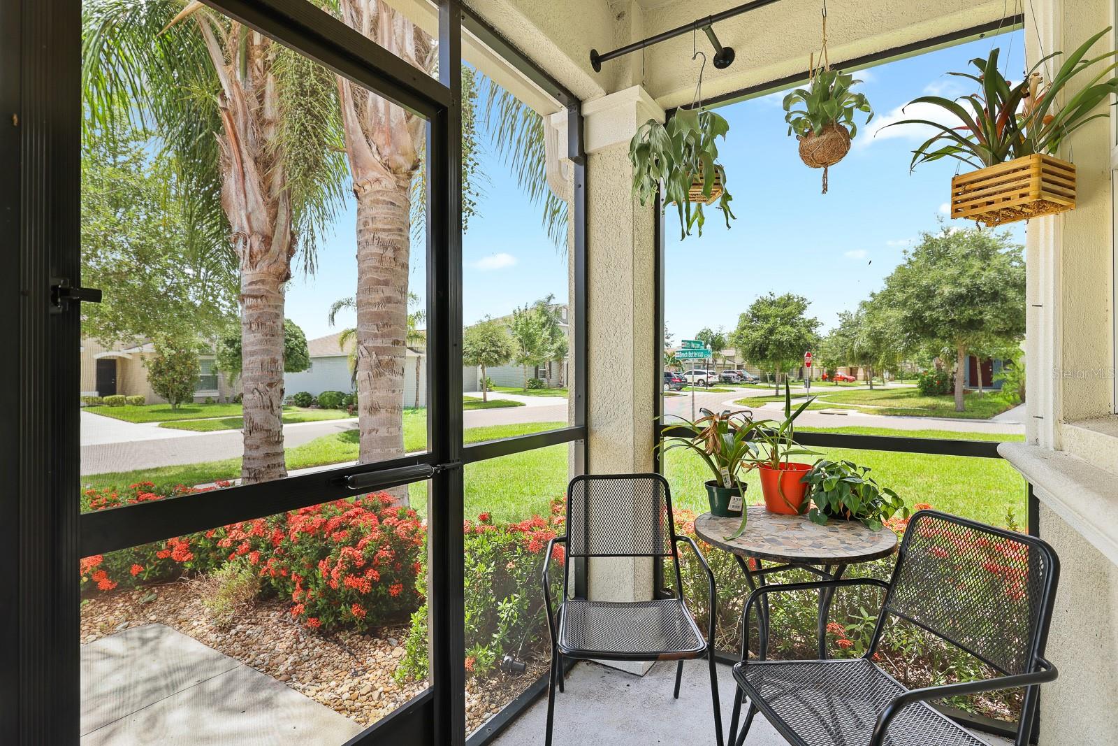 17239 WHITE MANGROVE DRIVE