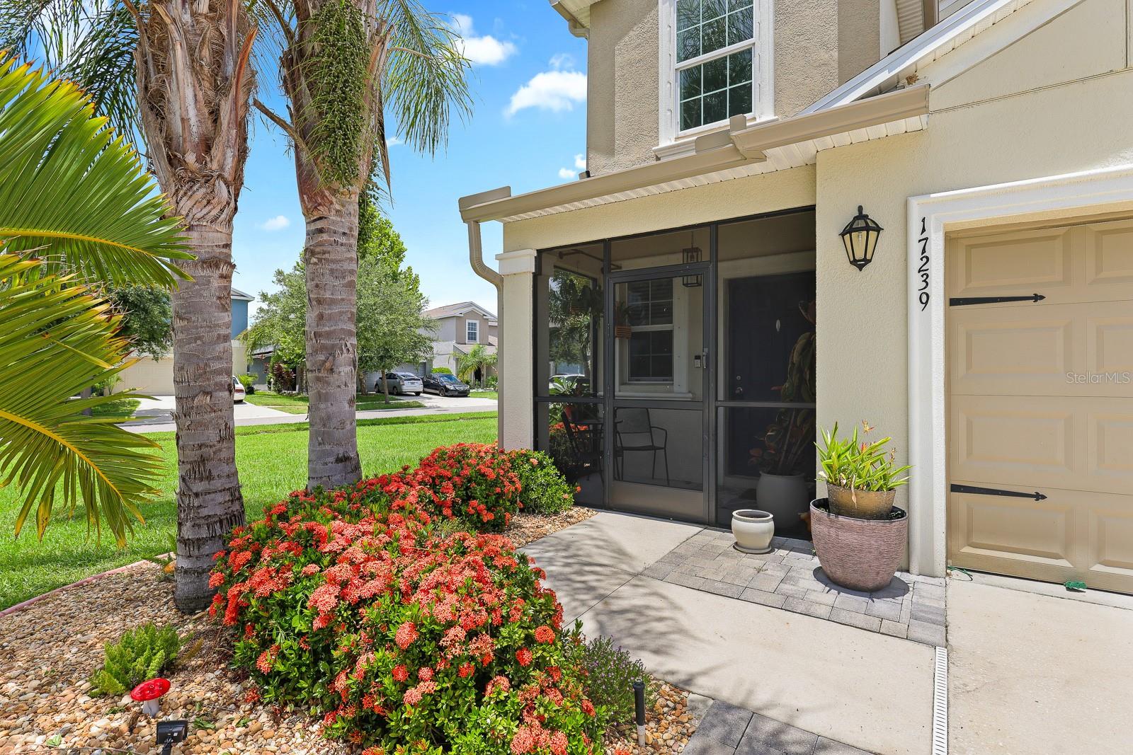 17239 WHITE MANGROVE DRIVE