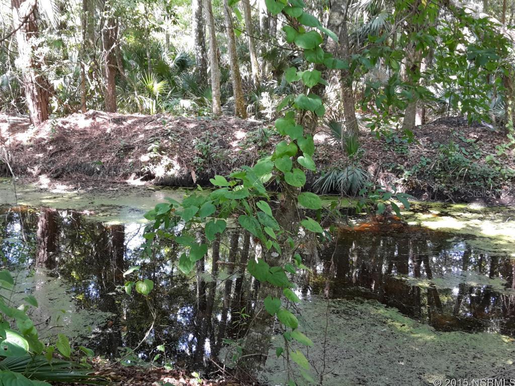 Florida Shores 01 - Residential