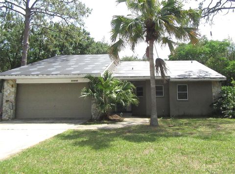 Photo of 22646 Weeks Boulevard, Land O Lakes, FL 34639 (MLS # TB8497267)