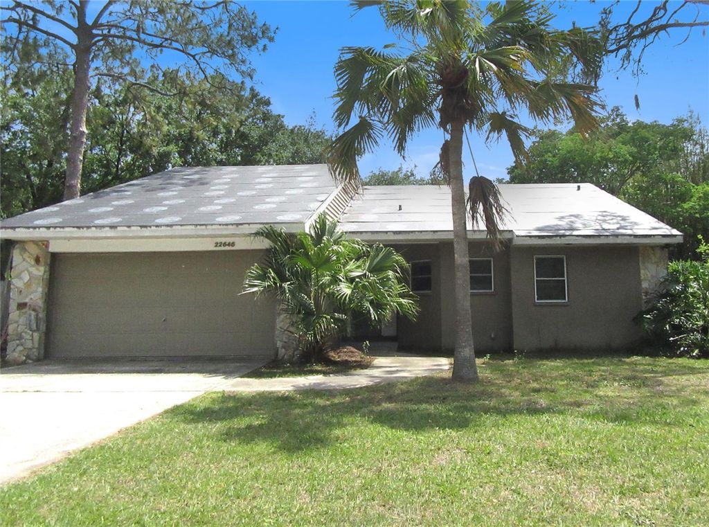 Photo of 22646 Weeks Boulevard, Land O Lakes, FL 34639 (MLS # TB8497267)