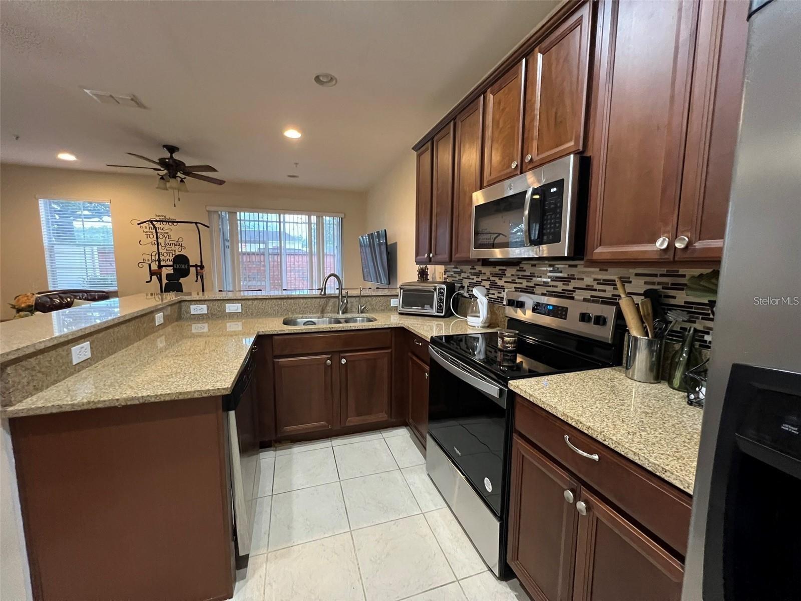9528 SILVER BUTTONWOOD STREET