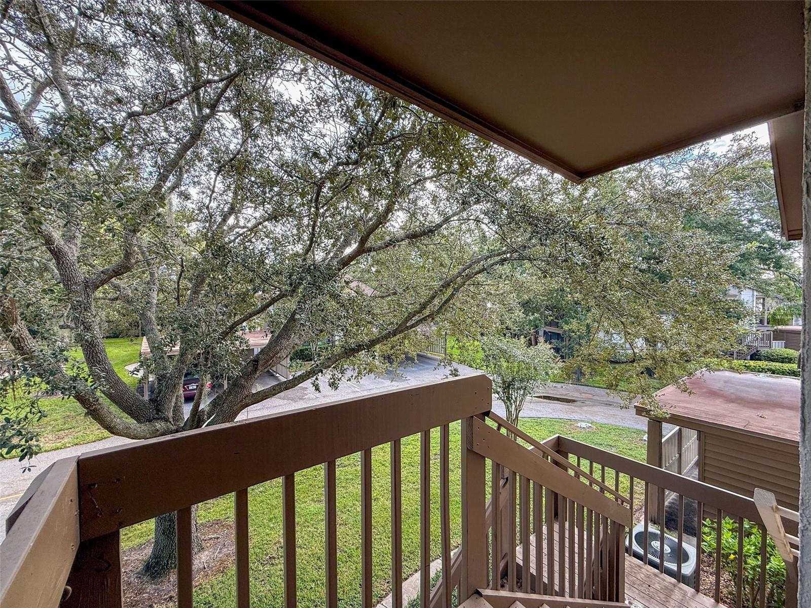 BEACON WOODS WEDGEWOOD CONDO 5 - Residential
