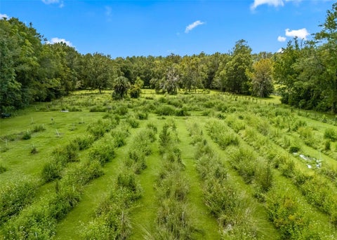 Tiny photo for 10330 NW 28th Place, Ocala, FL 34482 (MLS # OM731808)