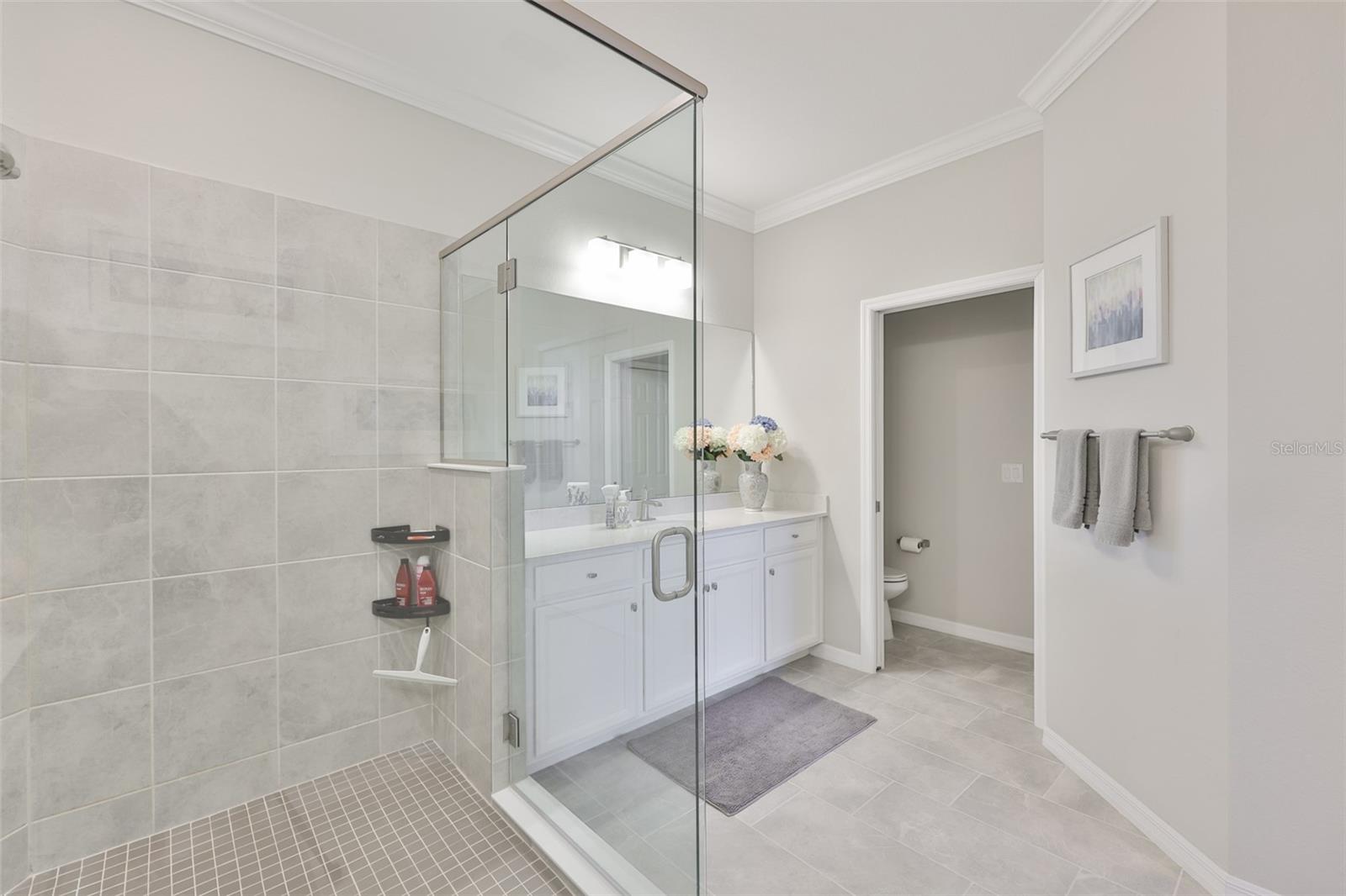 COACH HOMES IV AT GRAN PARADISO - Residential