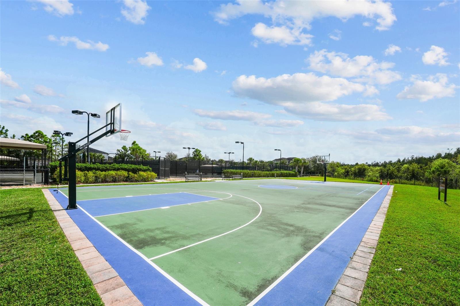 THE RIDGE AT WIREGRASS - Residential