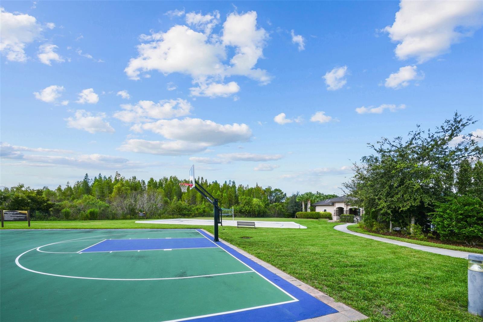 THE RIDGE AT WIREGRASS - Residential