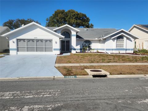 Photo of 1289 Masada Lane, Spring Hill, FL 34608 (MLS # TB8475341)