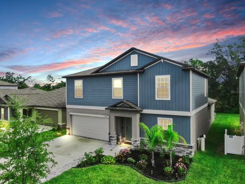 Photo of 13286 Peachleaf Avenue, Riverview, FL 33579 (MLS # TB8421078)