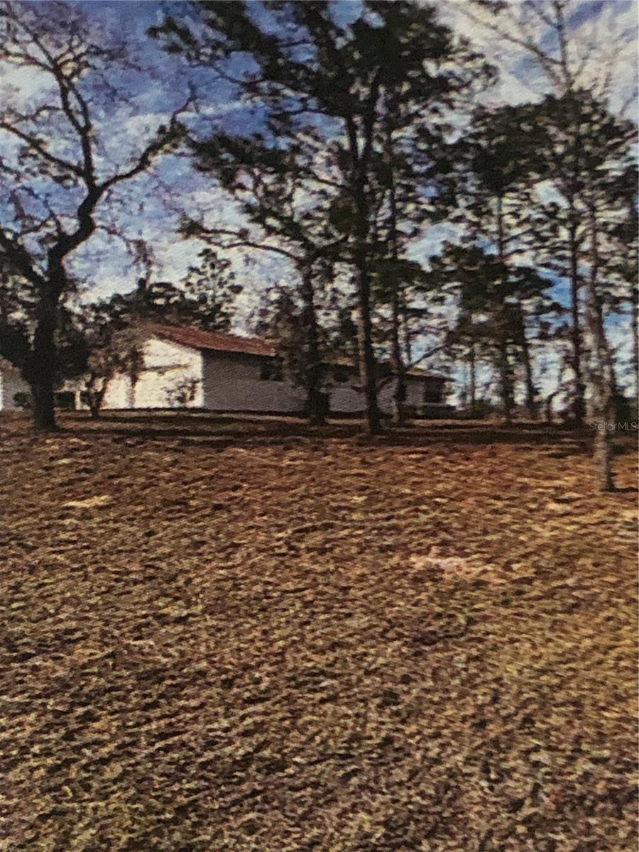 This is the perfect spot for your new home, priced to sell on the Williston Highlands Golf and Country Club presently under new ownership and currently under renovation. This high and dry lot is Located on a paved road with easy access to SR 121, just south of Williston.