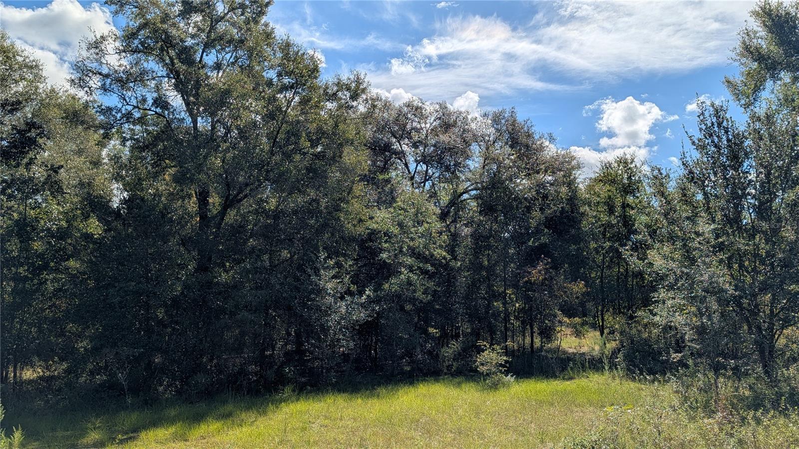 Lot 3 NE 48TH COURT
