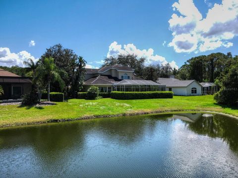 A home in PALM HARBOR