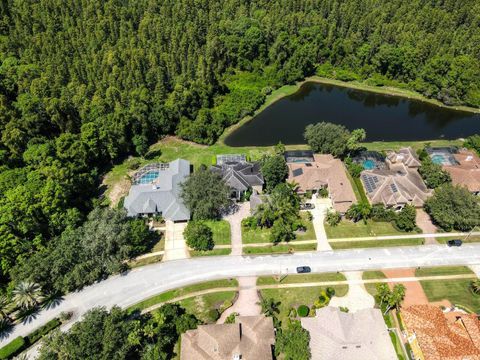 A home in PALM HARBOR