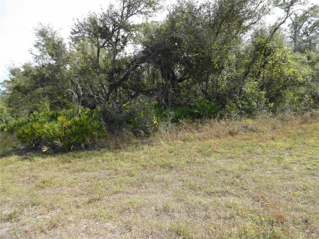 Photo of 17043 Arthur Avenue, Port Charlotte, FL 33948 (MLS # C7503669)