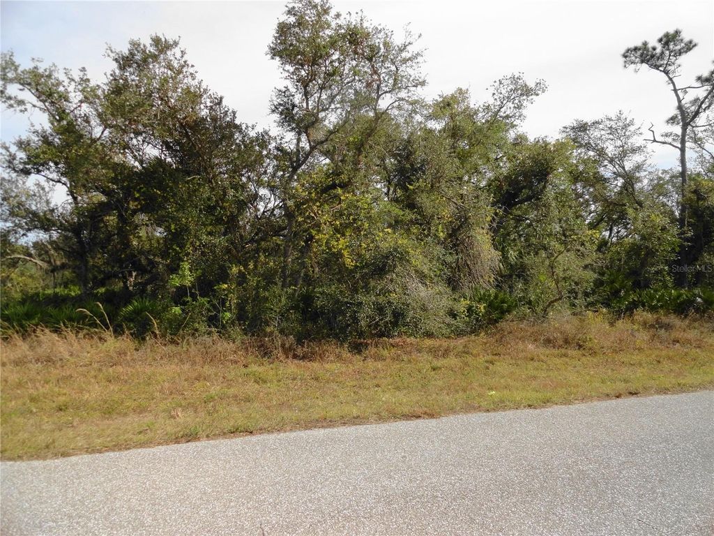 Photo of 17043 Arthur Avenue, Port Charlotte, FL 33948 (MLS # C7503669)