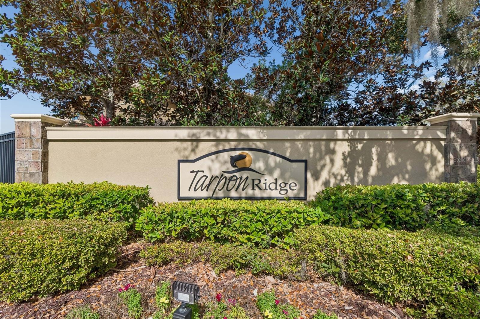 TARPON RIDGE TWNHMS - Residential