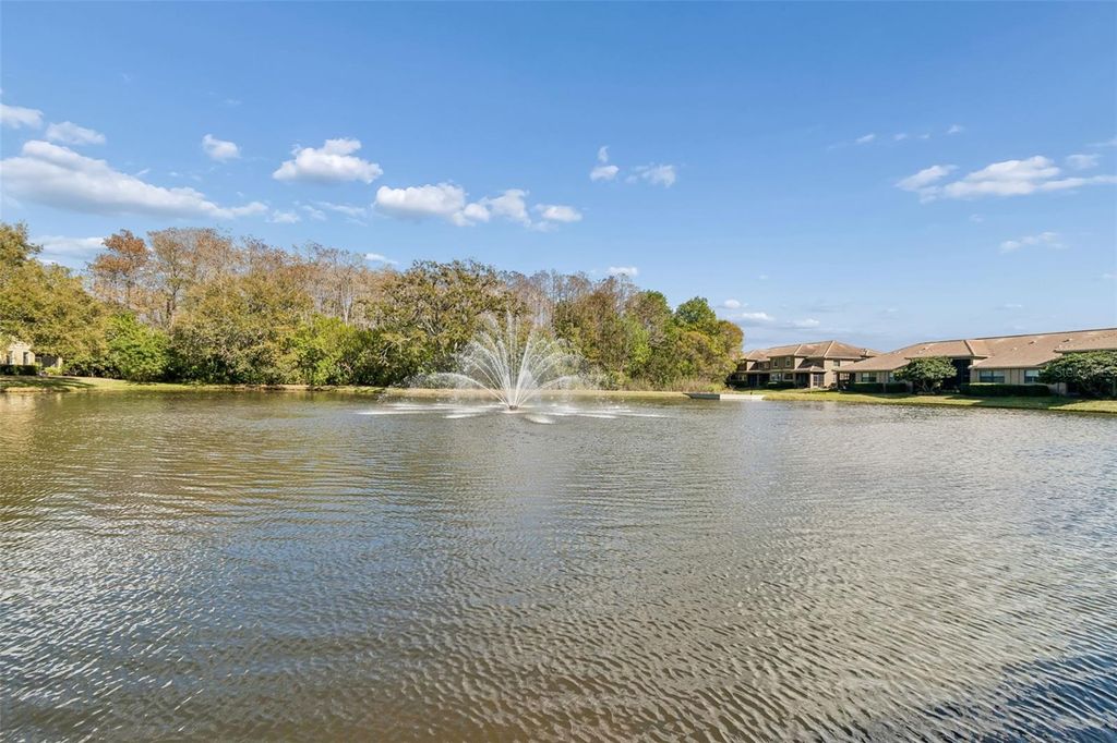 Photo of 4813 Michelle Lane, Palm Harbor, FL 34684 (MLS # TB8482198)